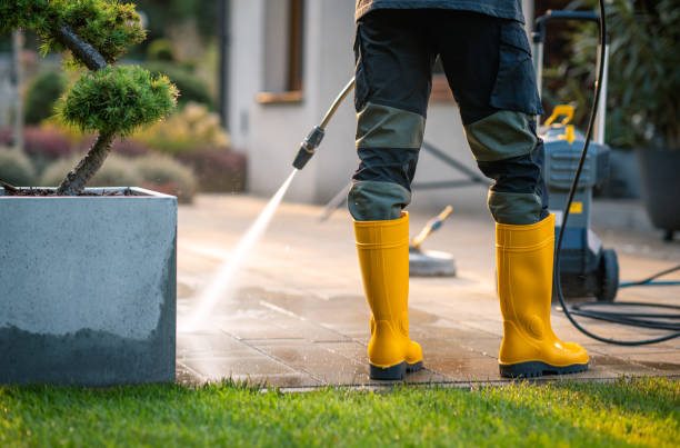 Best Exterior Home Cleaning  in Mammoth Spring, AR